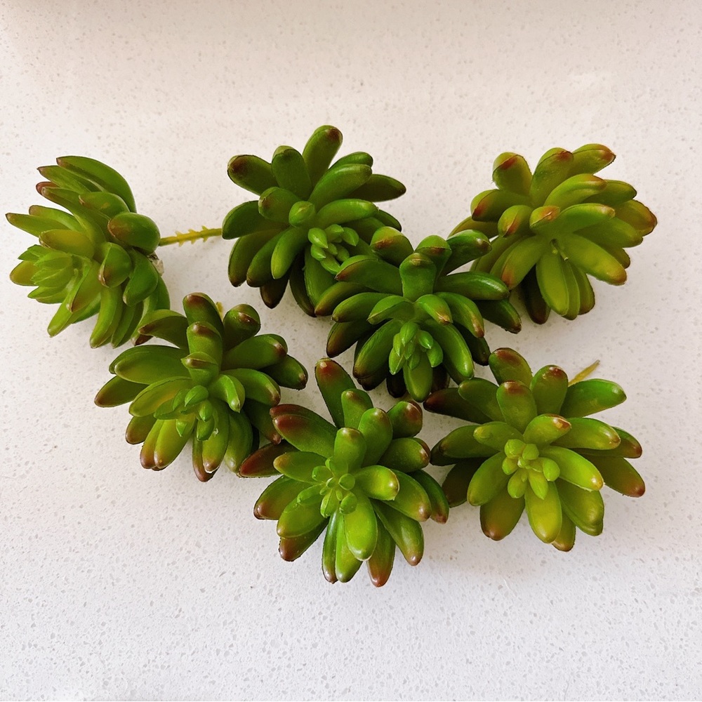 ONE High Quality Real Touch HomArt Faux Succulent